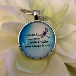 3/25 A Dragon Fly Will Appear When A Visitor From